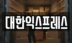 대한익스프레스
