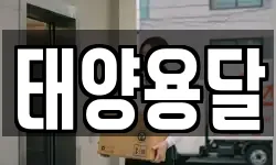 태양용달