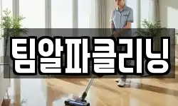팀알파클리닝