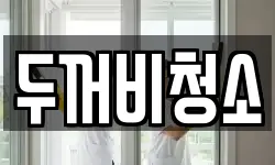 두꺼비청소