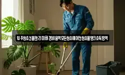 입주청소건물관리미화경비용역모든청소에어컨청소물탱크소독방역