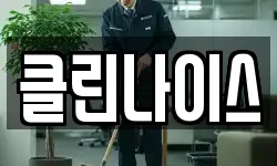 클린나이스