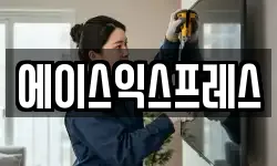 에이스익스프레스
