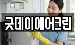 굿데이에어크린