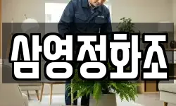 삼영정화조