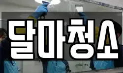 달마청소