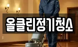 올클린정기청소