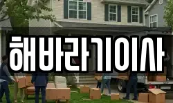 해바라기이사