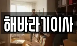 해바라기이사