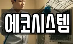에코시스템