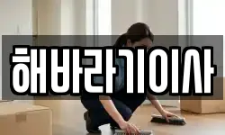 해바라기이사