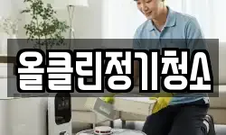 올클린정기청소