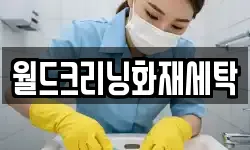 월드크리닝화재세탁