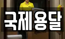 국제용달