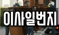 이사일번지