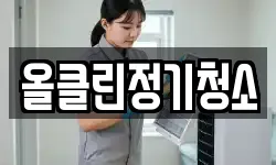 올클린정기청소