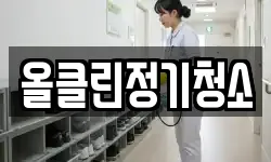 올클린정기청소