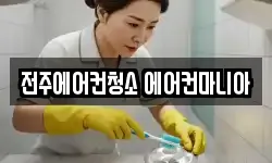 전주에어컨청소 에어컨마니아