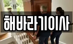 해바라기이사