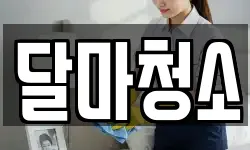 달마청소