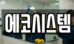 에코시스템