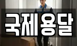 국제용달