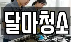 달마청소
