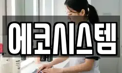 에코시스템
