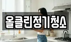 올클린정기청소