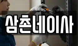 삼촌네이사