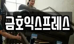 금호익스프레스