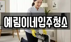 예림이네입주청소