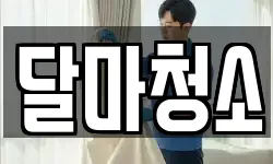 달마청소