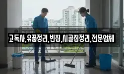 고독사,유품정리,빈집,시골집정리,전문업체