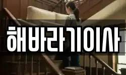 전북 전주시 완산구 서노송동 이사,용달이사,포장이사,원룸이사,보관이사