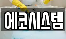 에코시스템