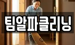 팀알파클리닝