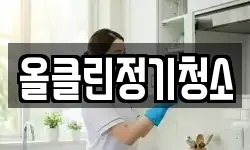 올클린정기청소