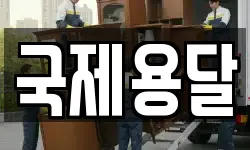 국제용달
