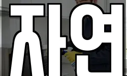 전북 전주시 완산구 서완산동2가 청소,입주청소,사무실청소,에어컨청소
