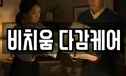 비치움 다감케어