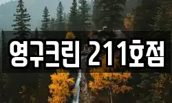 영구크린 211호점