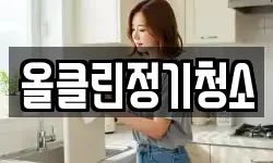 올클린정기청소