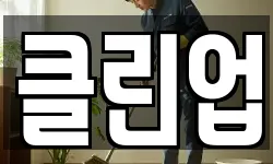 클린업