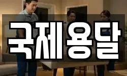 국제용달