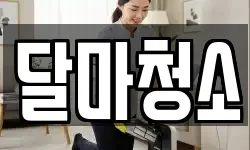 달마청소