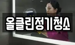 올클린정기청소