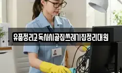 전북 전주시 완산구 전동 청소,입주청소,사무실청소,에어컨청소