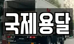 국제용달