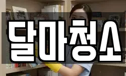 달마청소